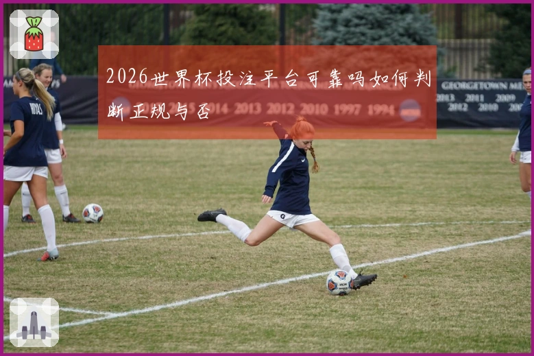 2026世界杯投注平台可靠吗如何判断正规与否